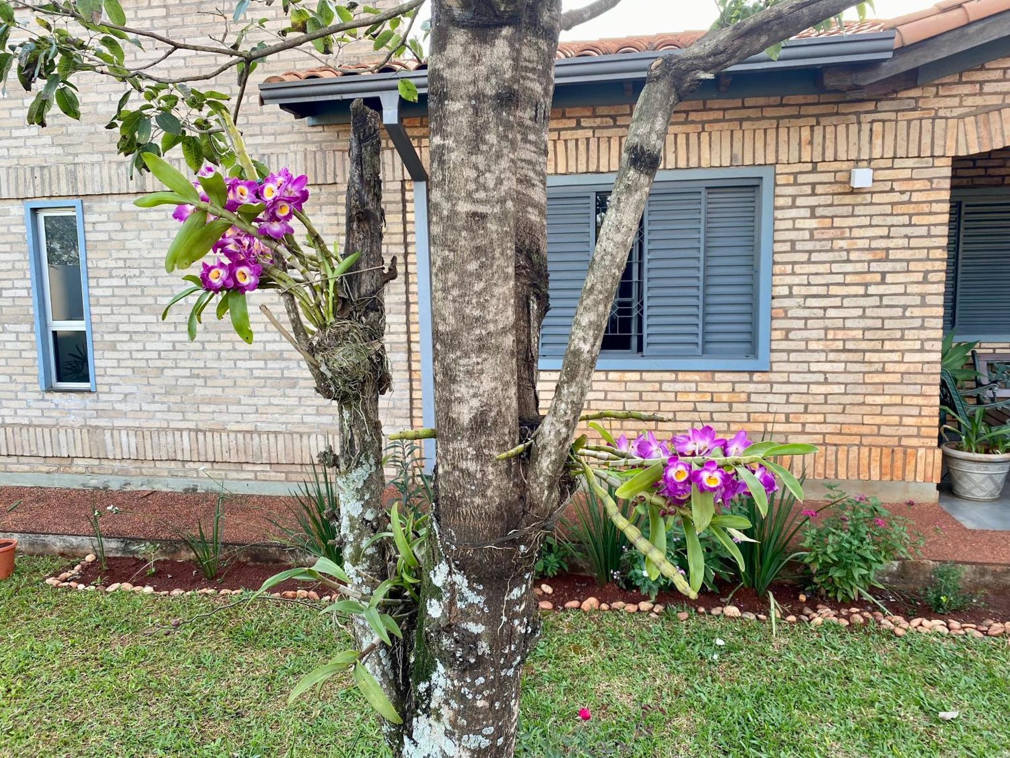 Agradable casa independiente con jardín y estacionamiento Ciudad del Este Exterior foto
